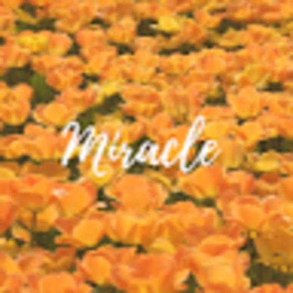 miraclemoore
